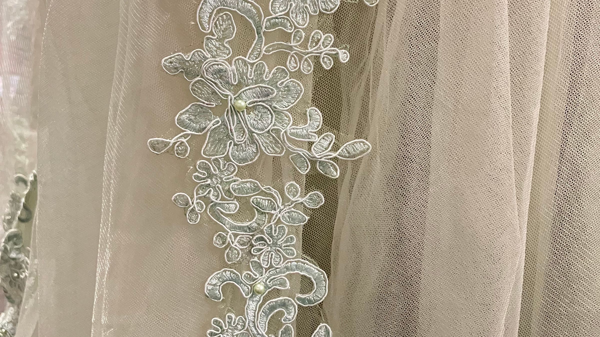 Ivory lace appliqué running down a tulle skirt